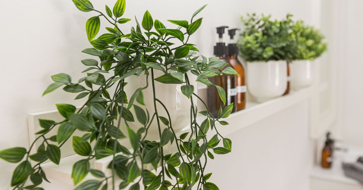 New Clinic Announcement